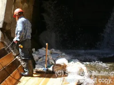 Image shows a man and a dog inspected the partially completed log chute. 