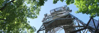 Image shows the Dorset Scenic Lookout Tower.