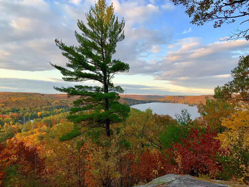 Image shows autumn view. 