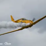 Image show a yellow RCAF plane in flight. 