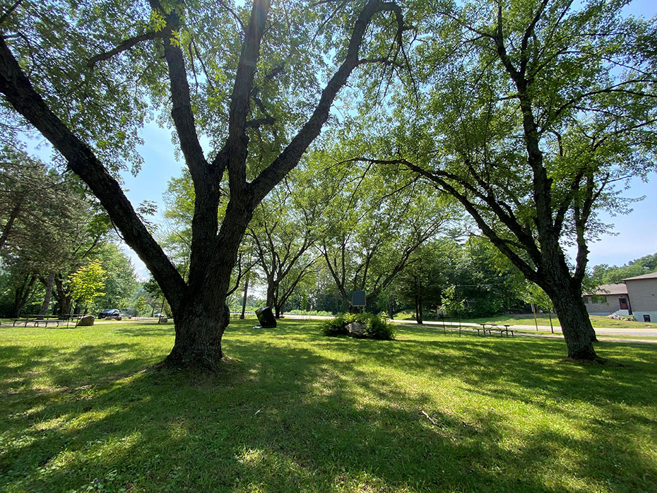 Image shows Dorset Parkette on a sunny day.