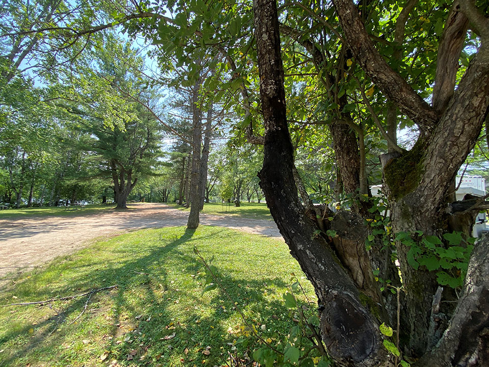 Image shows Dorset Parkette on a sunny day.