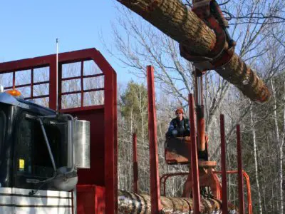 Image shows a large machine taking log off of a truck. 