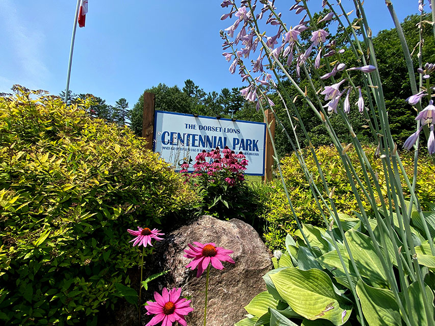 Image shows flowers and sign for Dorset Lions Centennial Park.